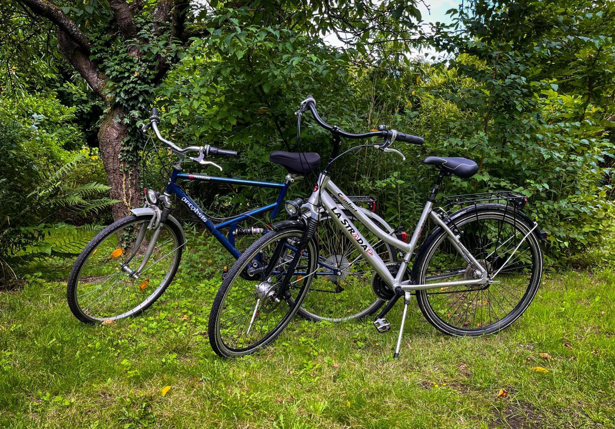 Ferienwohnung Hitzacker/Elbe 외부 사진