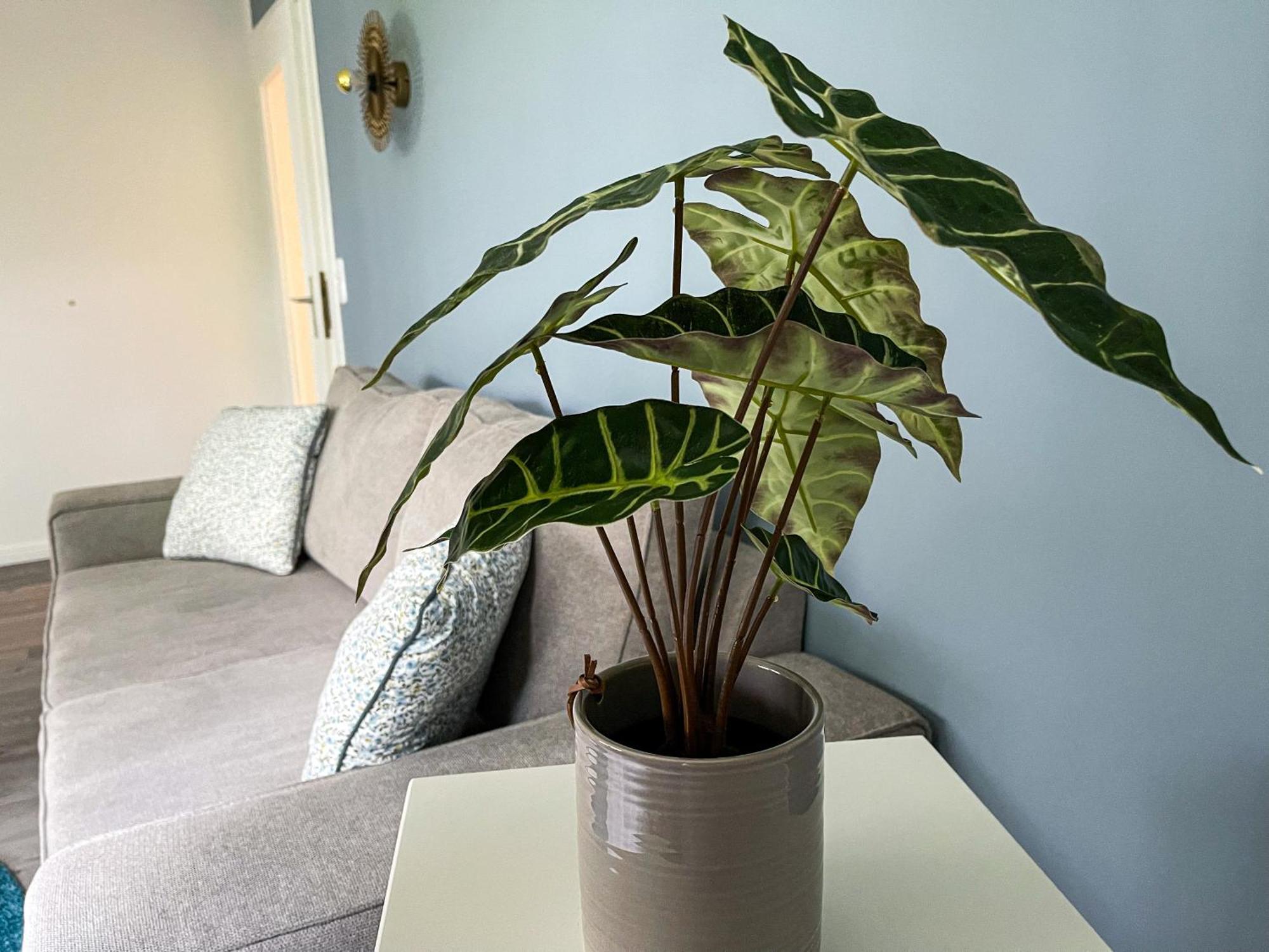 Ferienwohnung Hitzacker/Elbe 외부 사진